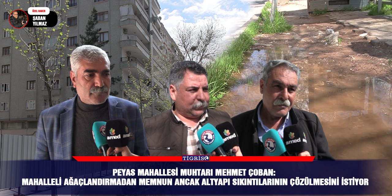 Peyas Mahallesi Muhtarı Mehmet Çoban: “Mahalleli ağaçlandırmadan memnun ancak altyapı sıkıntılarının çözülmesini istiyor”