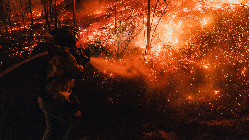 Japonya'daki orman yangınlarını söndürme çalışmaları devam ediyor