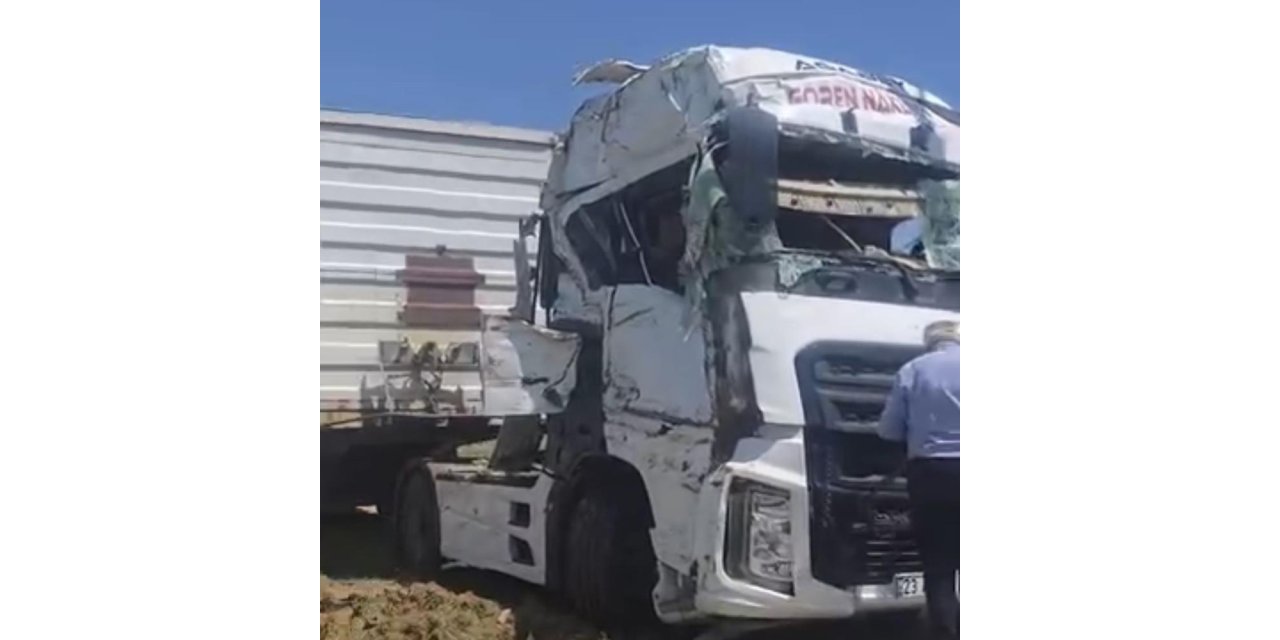 Hayvan yüklü tır devrildi: 2 kişi yaralandı, 80 koyun telef oldu