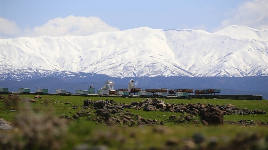 Bingöl'ün kuzeyinde kış, güneyinde bahar yaşanıyor