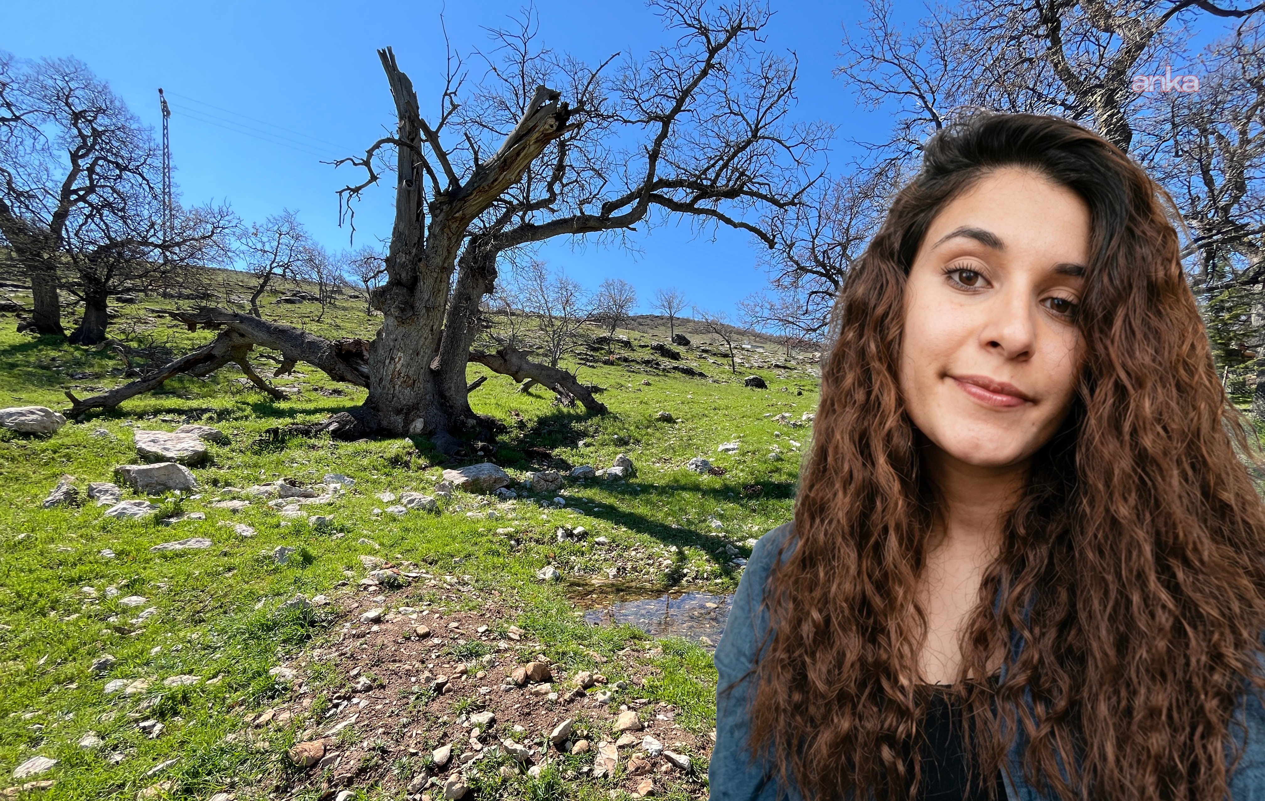 Gülistan Doku dosyasında 5 ekip sahada