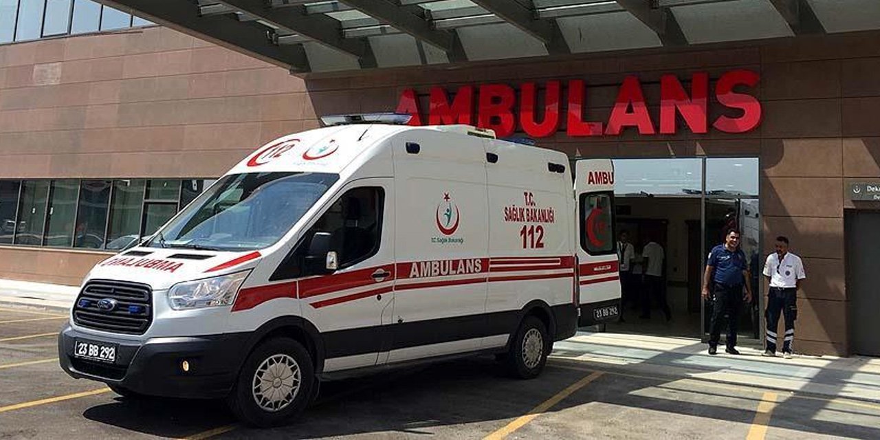 Diyarbakır’da At sahibini boğazından ısırarak ağır yaraladı