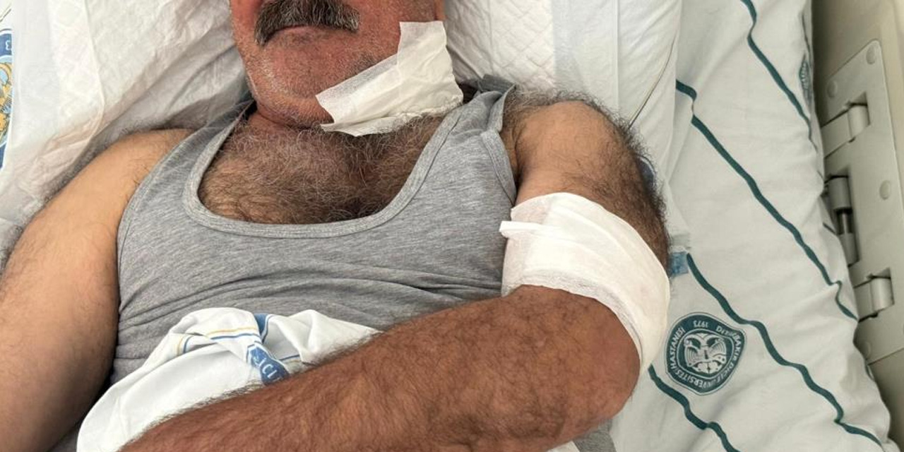 Diyarbakır’da at sahibini boğazından ısırarak ağır yaraladı