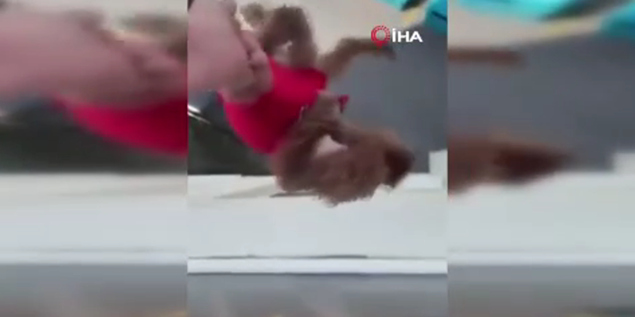 Köpeği camdan sarkıttı, o anları kayda aldı