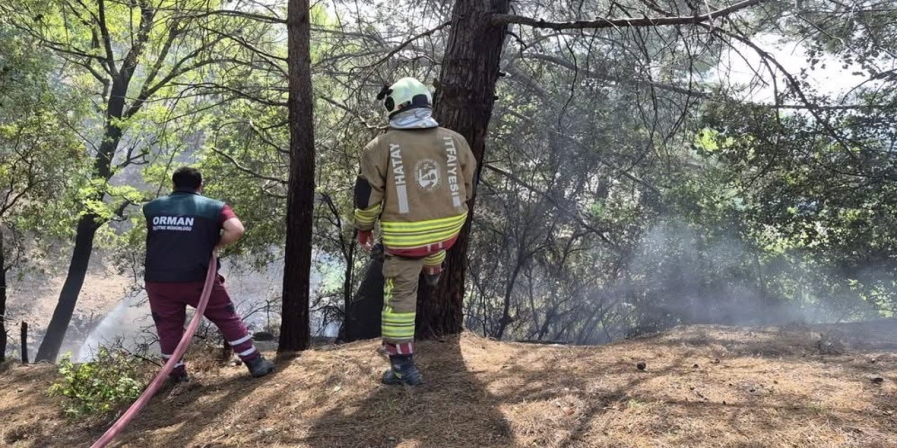 İskenderun’da orman yangını