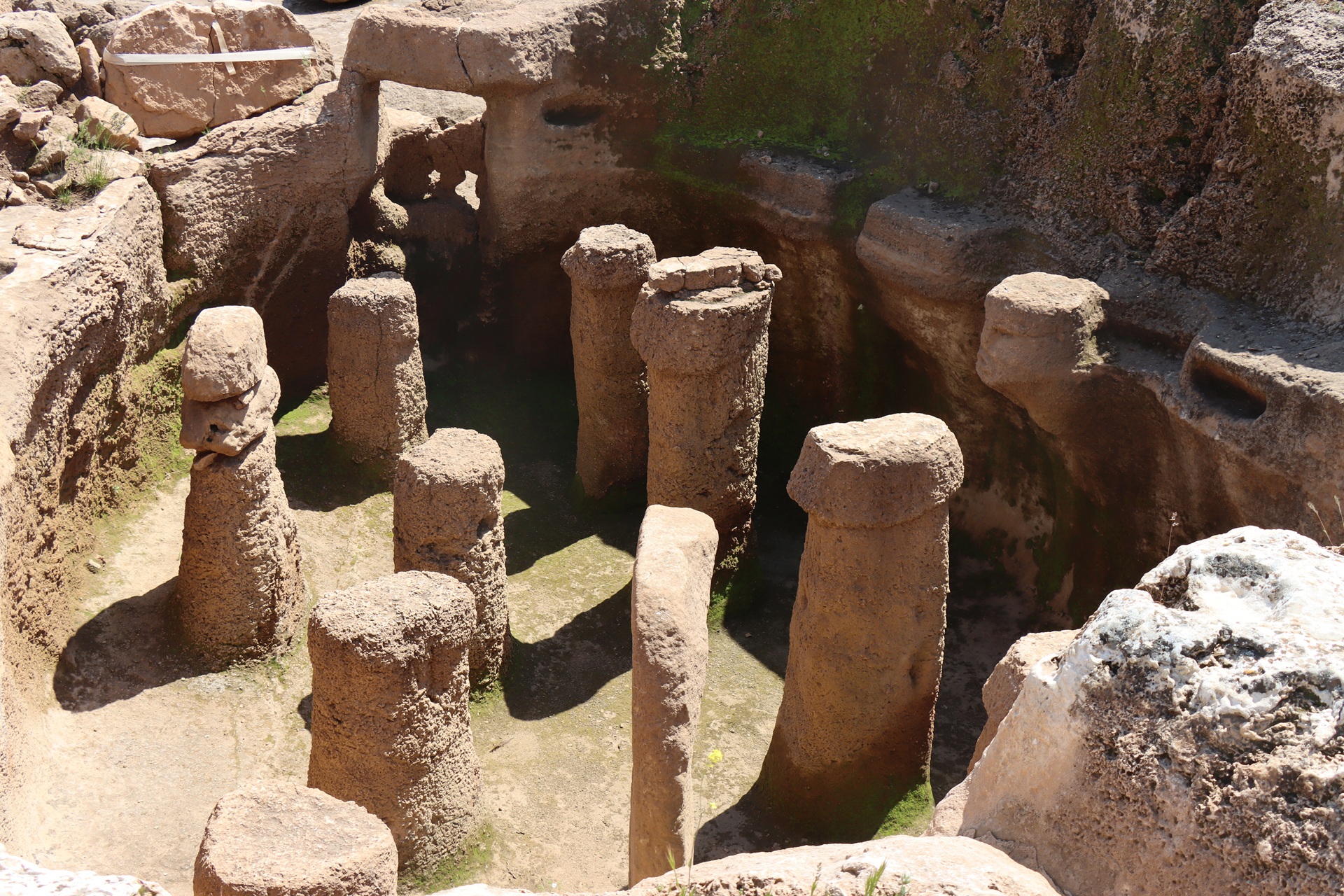 Karahantepe'de ceylan eti ve baklagil tüketildiği belgelendi