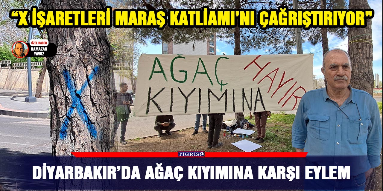 Diyarbakır’da ağaç kıyımına karşı eylem
