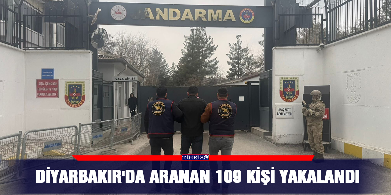 Diyarbakır'da aranan 109 kişi yakalandı