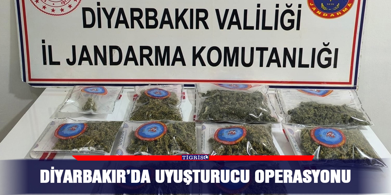 Diyarbakır’da uyuşturucu operasyonu