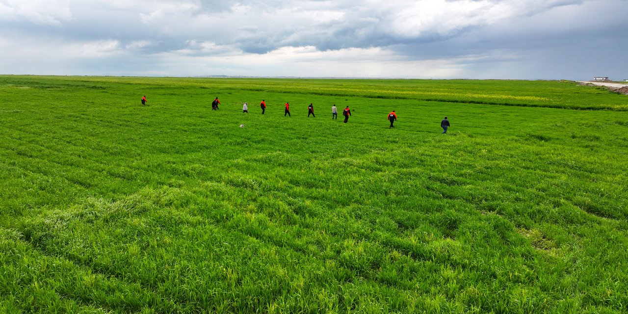 Diyarbakır’da kaybolan çocuk uyurken bulundu