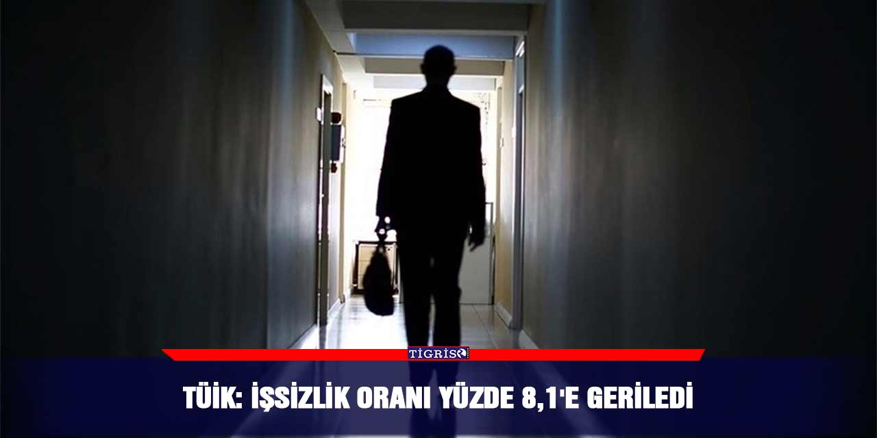 TÜİK: İşsizlik oranı yüzde 8,1'e geriledi