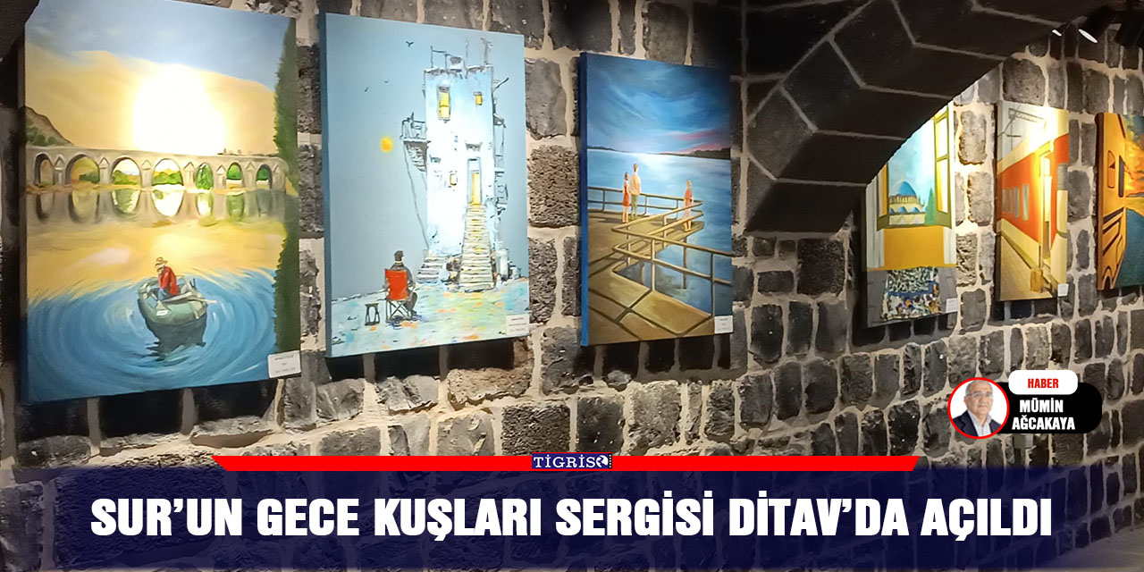 Sur’un gece kuşları sergisi DİTAV’da açıldı