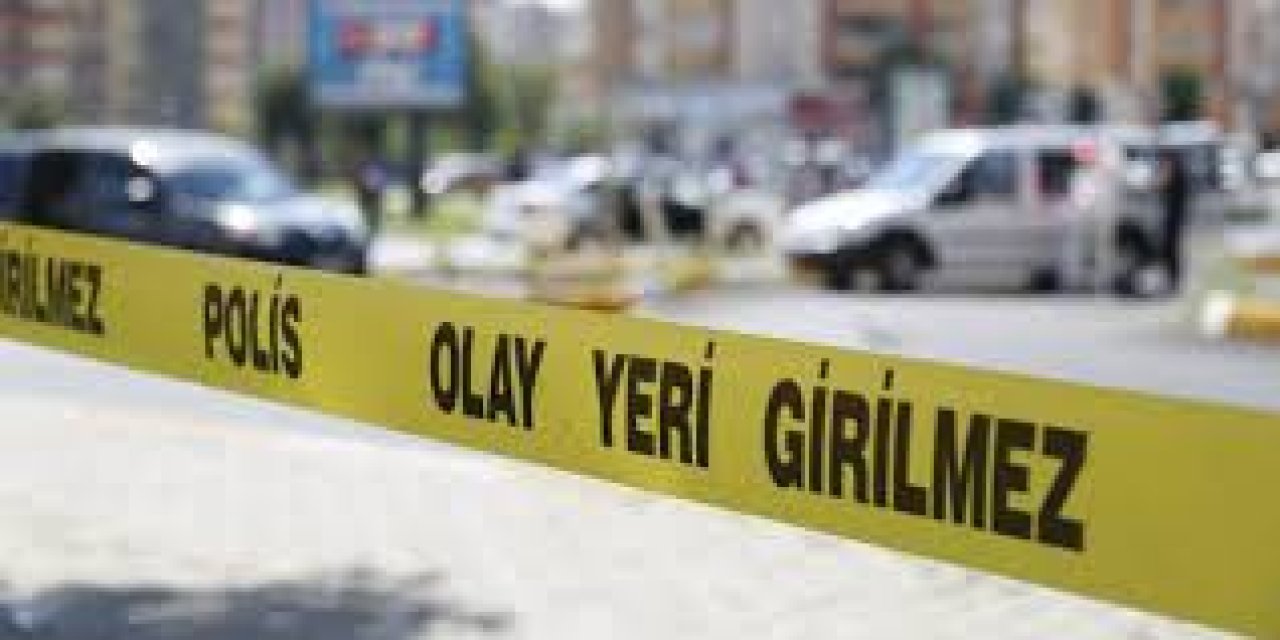 Kardeşler arasında arazi kavgası: 2 ölü