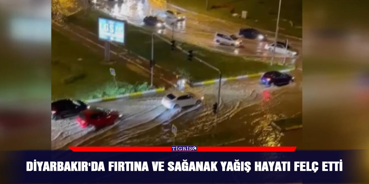 Diyarbakır'da fırtına ve sağanak yağış hayatı felç etti