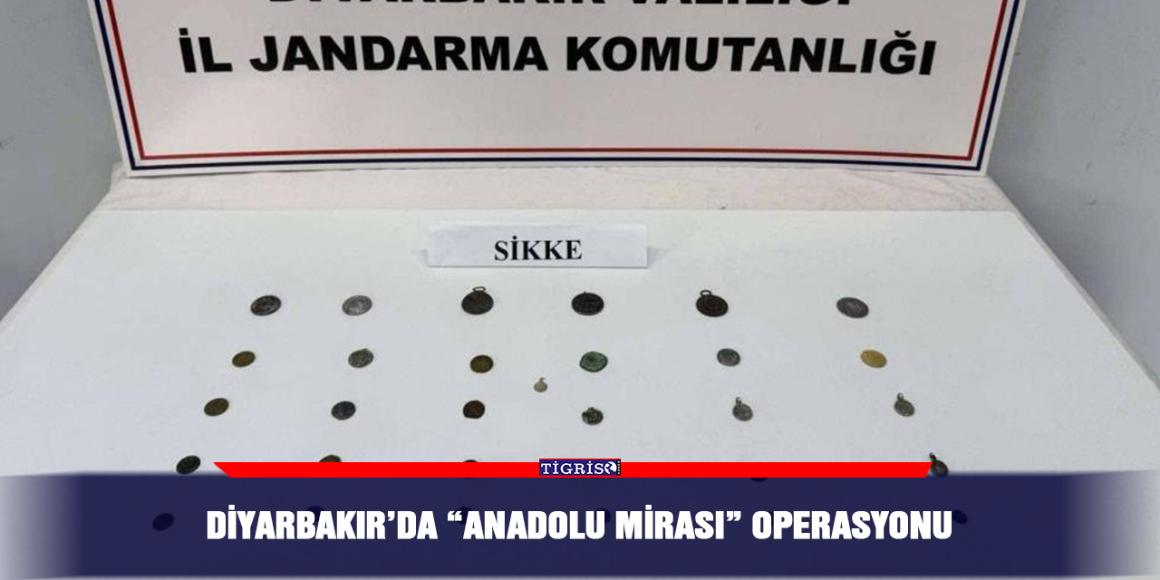 Diyarbakır’da “Anadolu Mirası” operasyonu
