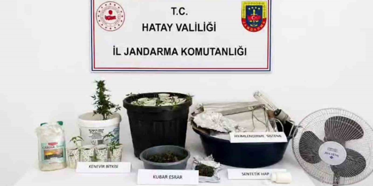 Evine uyuşturucu serası kuran şüpheli yakalandı