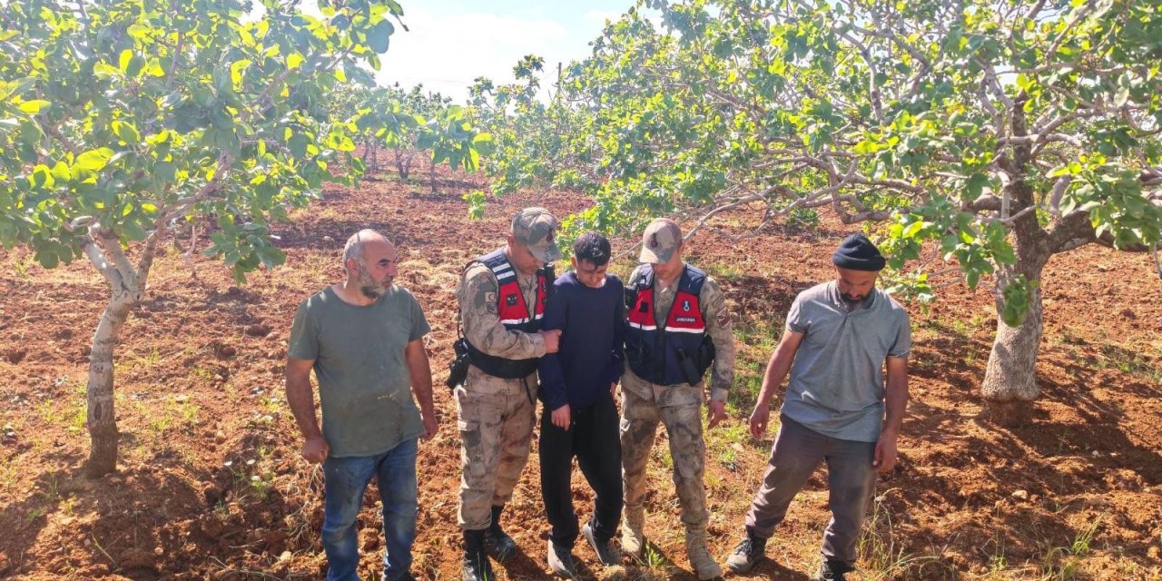 Şanlıurfa’da kaybolan çocuk fıstık bahçesinde bulundu