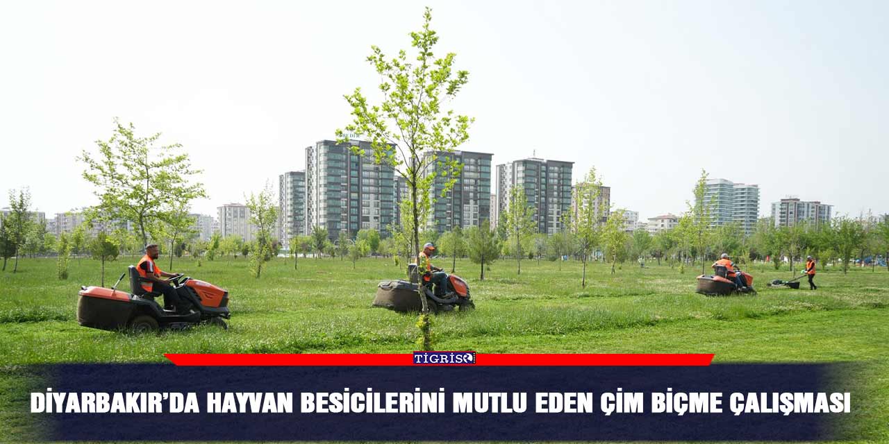 Diyarbakır’da hayvan besicilerini mutlu eden çim biçme çalışması