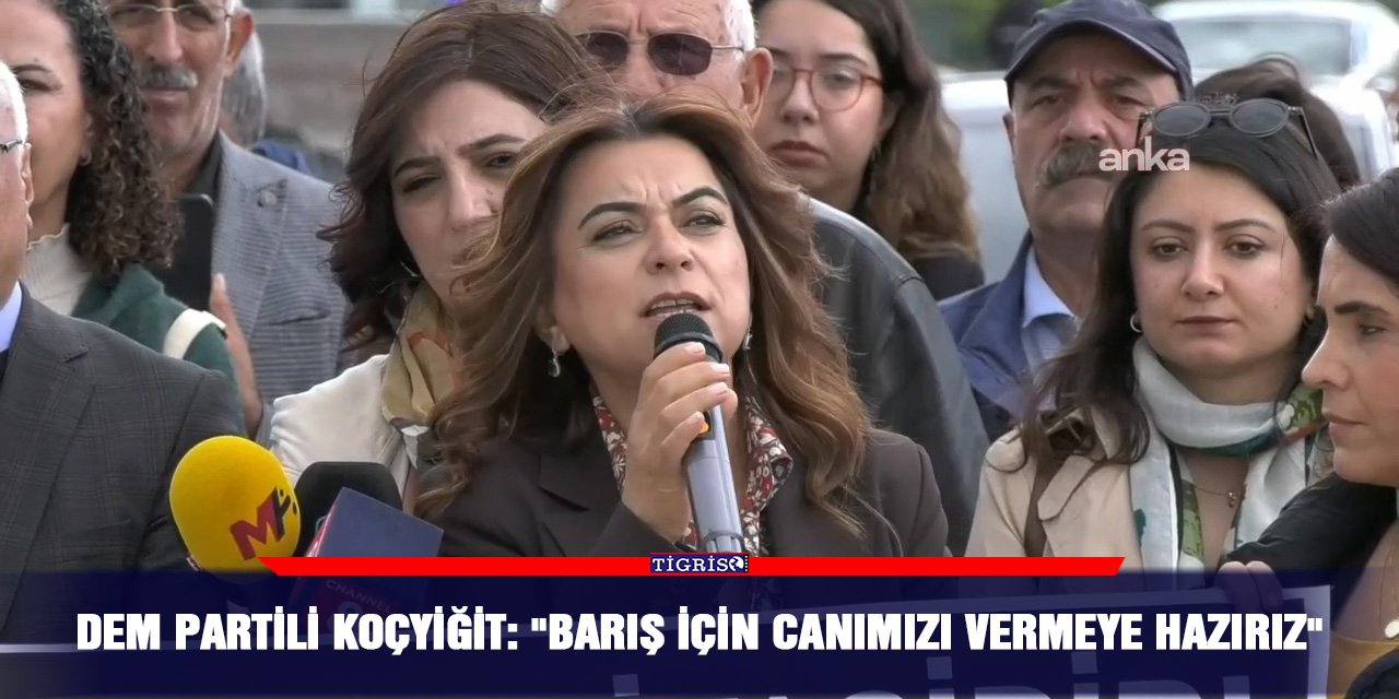 DEM Partili Koçyiğit: "Barış için canımızı vermeye hazırız"