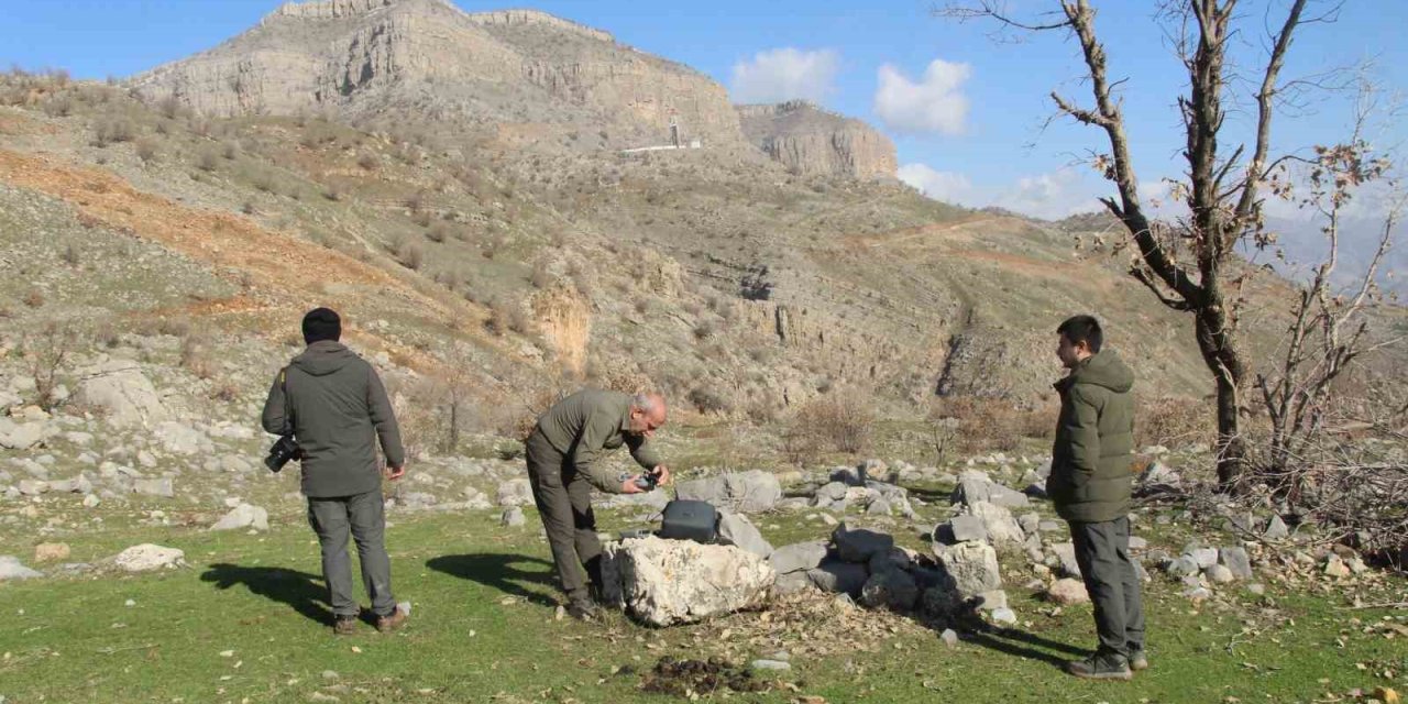 Şırnak’ta kaçak avcılığa karşı denetimler sıkılaştırıldı