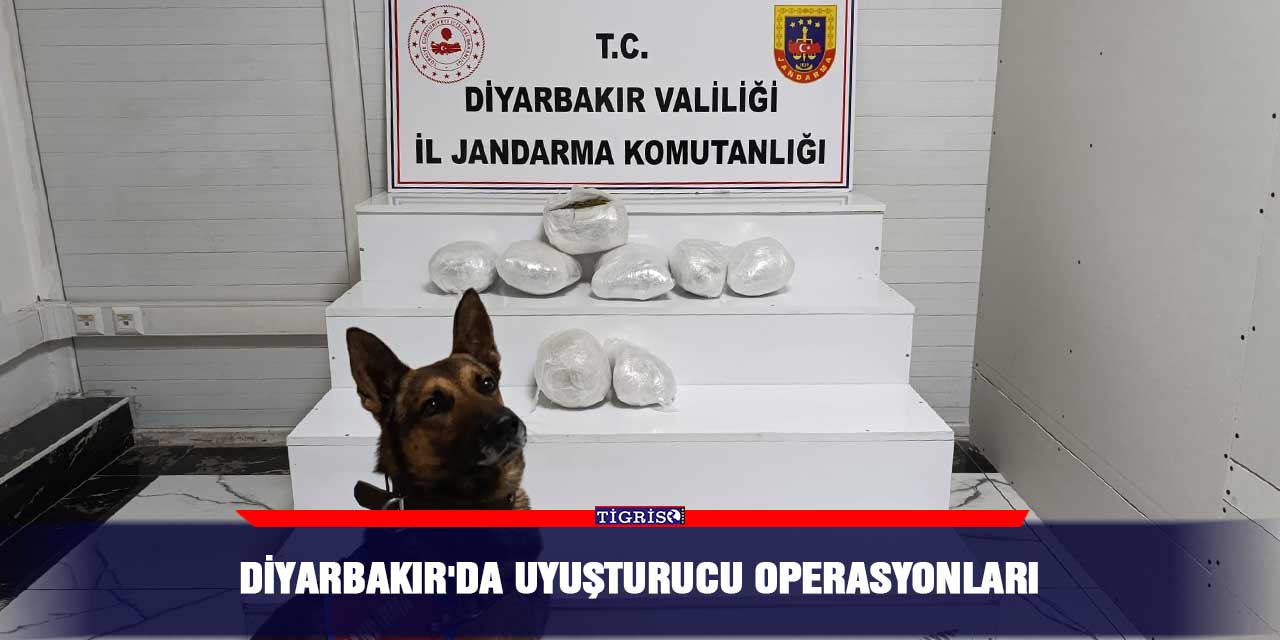 Diyarbakır'da uyuşturucu operasyonları