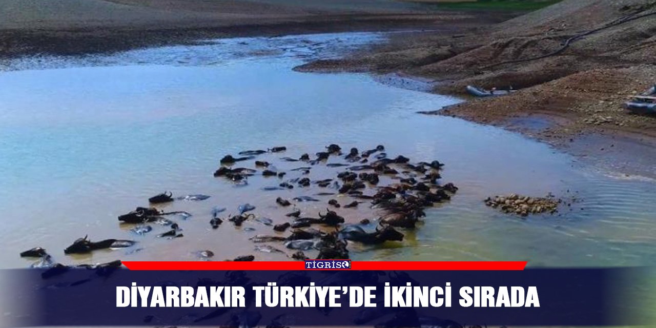 Diyarbakır Türkiye’de ikinci sırada