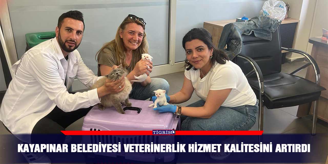 Kayapınar Belediyesi veterinerlik hizmet kalitesini artırdı