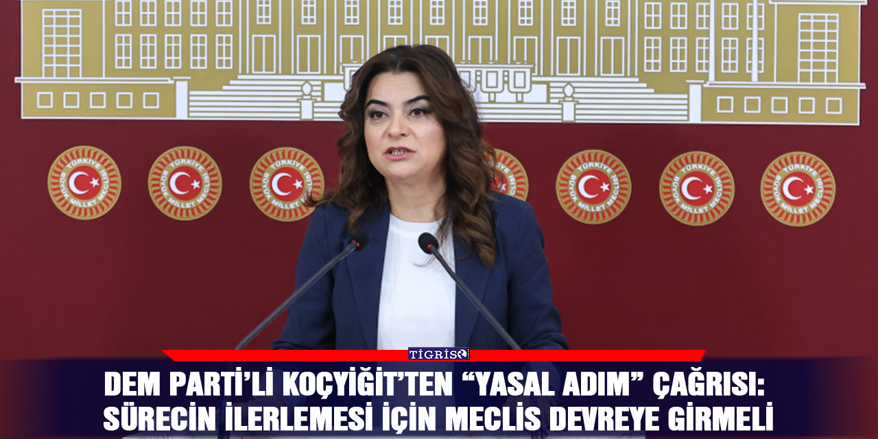 DEM Parti’li Koçyiğit’ten “yasal adım” çağrısı: Sürecin ilerlemesi için Meclis devreye girmeli