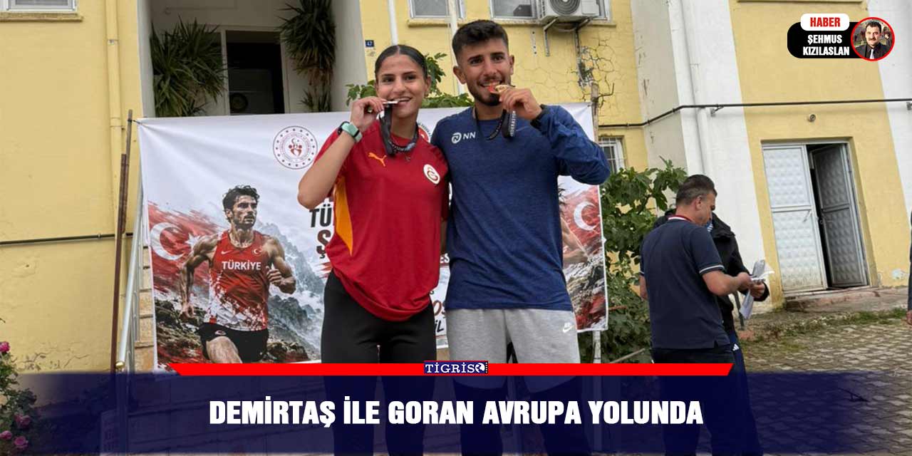 Demirtaş ile Goran Avrupa yolunda
