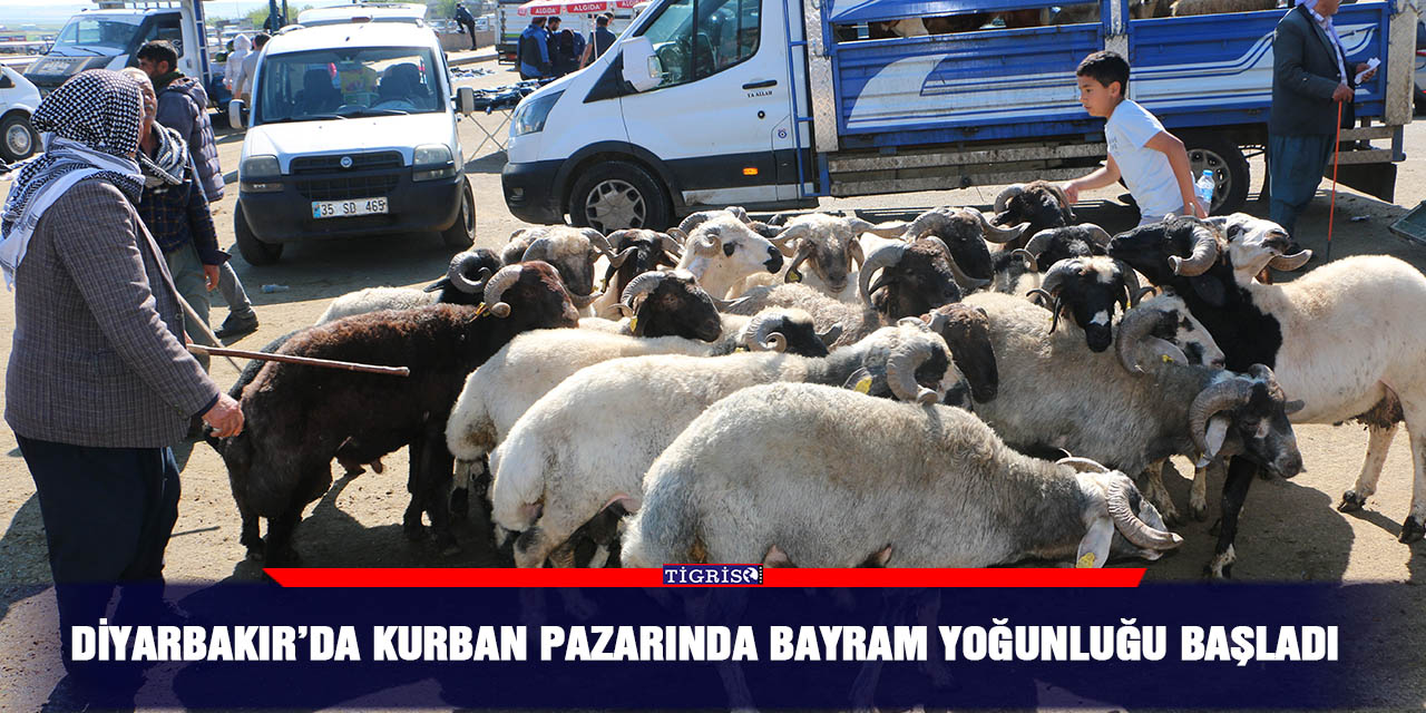 Diyarbakır’da kurban pazarında bayram yoğunluğu başladı