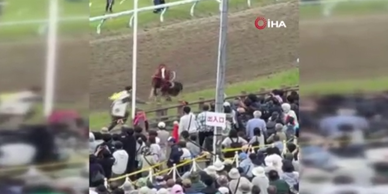 Festivalde at kalabalığın arasına daldı: 6 yaralı