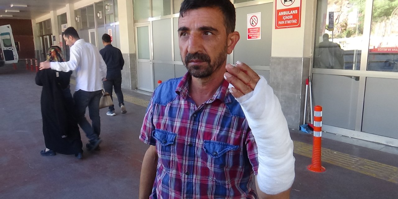 Kurban Bayramı’nın ilk gününde 232 kişi yaralandı