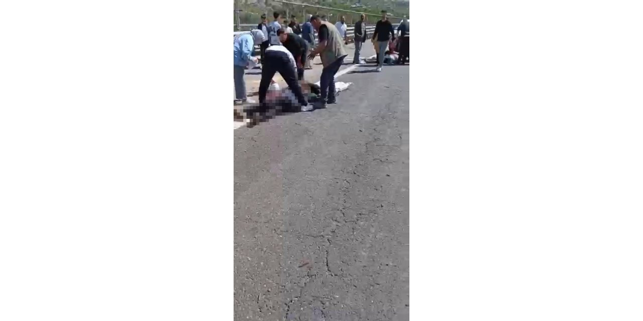 Şanlıurfa'da kurbanlık yüklü kamyonet devrildi