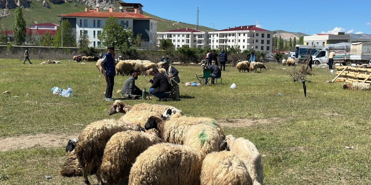 Van’da besiciler: Zarar ettik