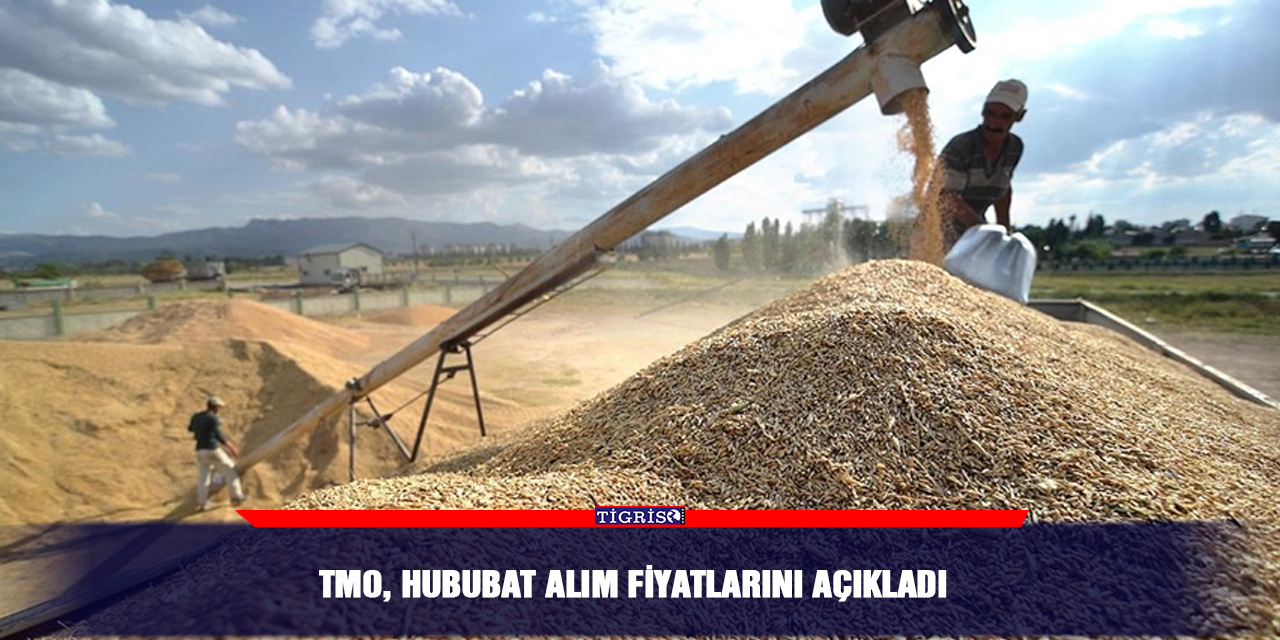 TMO, Hububat alım fiyatlarını açıkladı