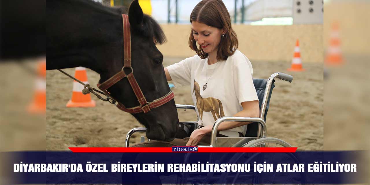 Diyarbakır'da özel bireylerin rehabilitasyonu için atlar eğitiliyor