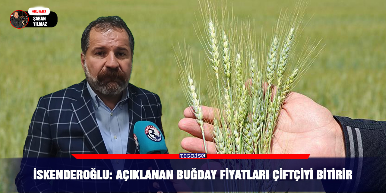 İskenderoğlu: Açıklanan buğday fiyatları çiftçiyi bitirir