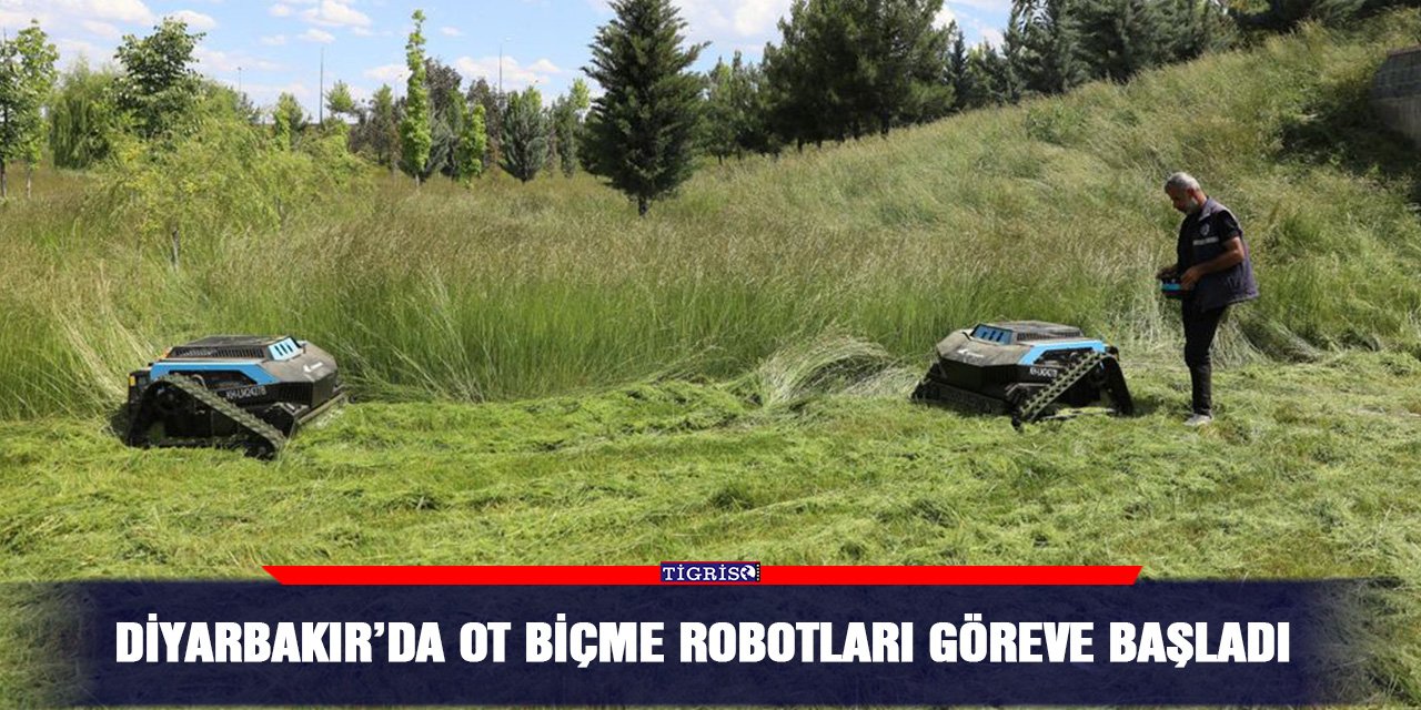 Diyarbakır’da ot biçme robotları göreve başladı