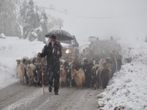 Bu haberleri unutmuştuk