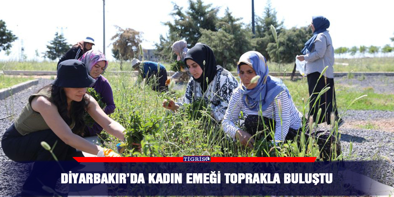Diyarbakır’da kadın emeği toprakla buluştu