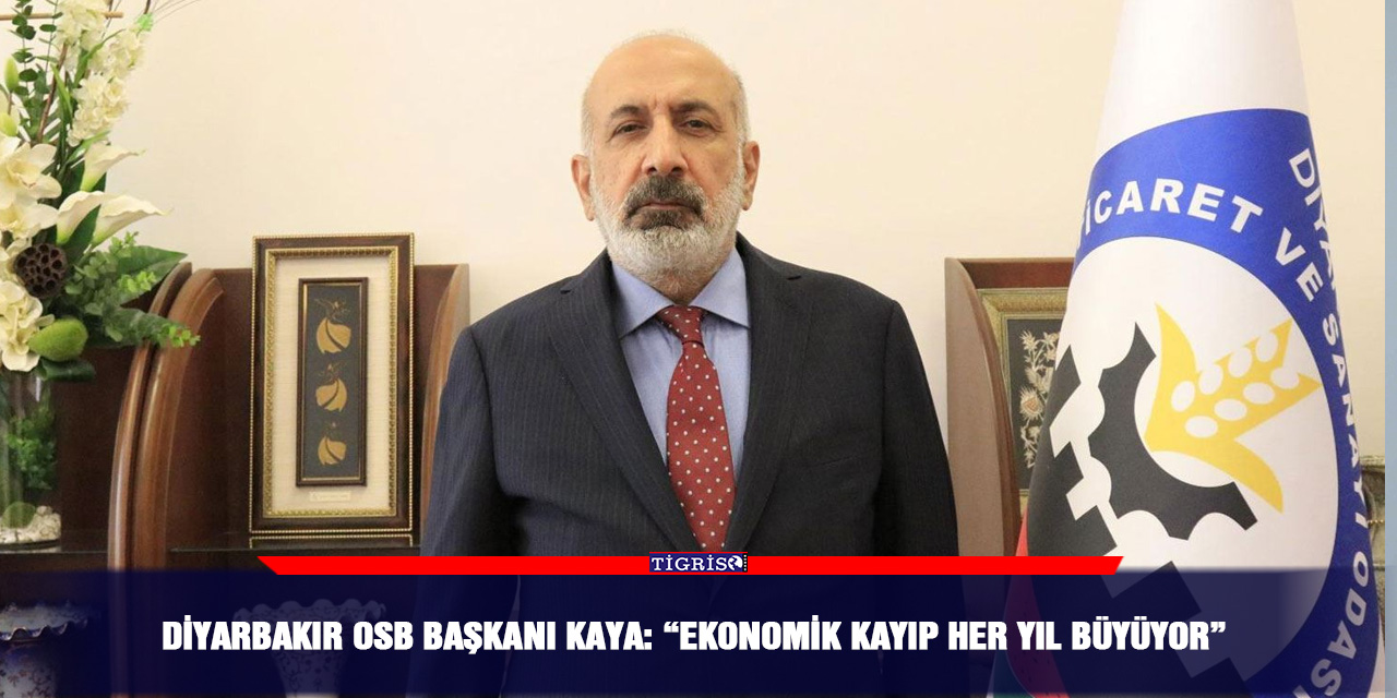 Diyarbakır OSB Başkanı Kaya: “Ekonomik kayıp her yıl büyüyor”