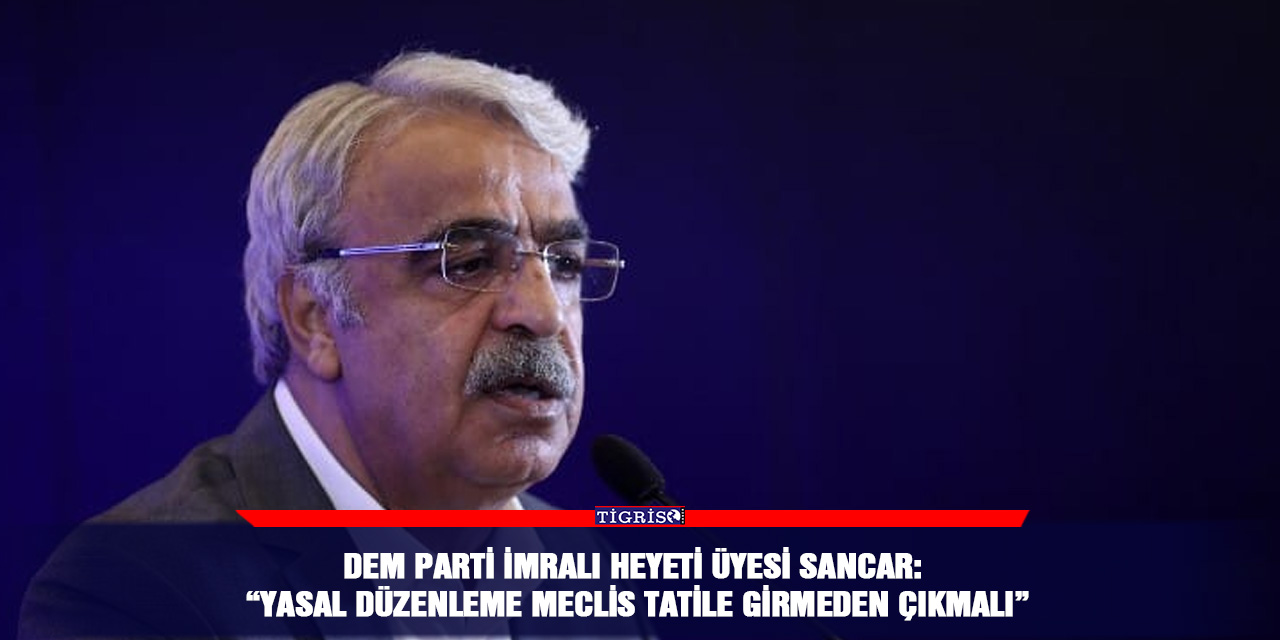 DEM Parti İmralı heyeti üyesi Sancar: “Yasal düzenleme mecli