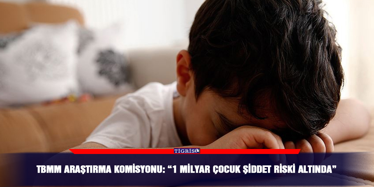 TBMM Araştırma Komisyonu: “1 Milyar çocuk şiddet riski altında”