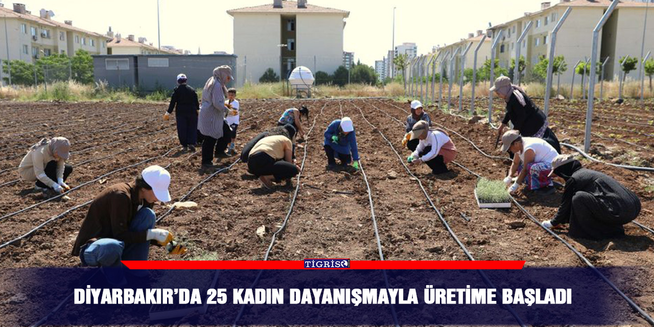 Diyarbakır’da 25 kadın dayanışmayla üretime başlad