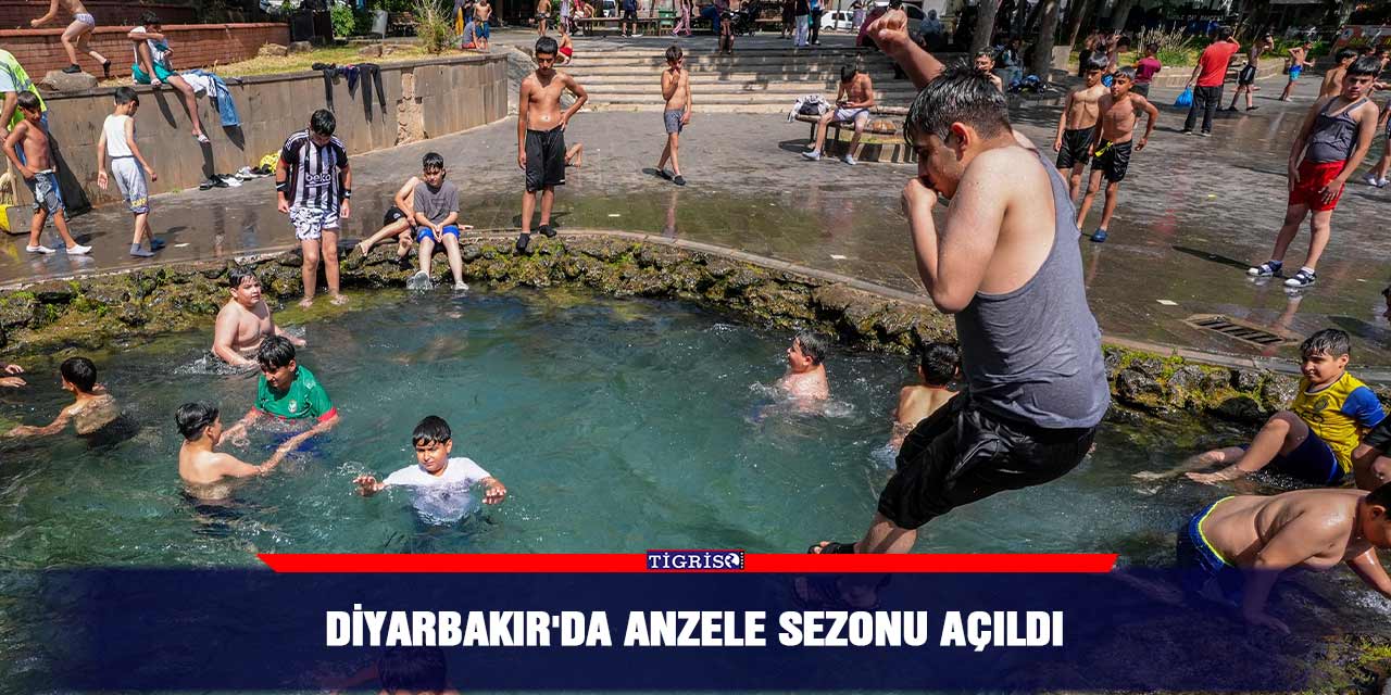 Diyarbakır'da Anzele sezonu açıldı