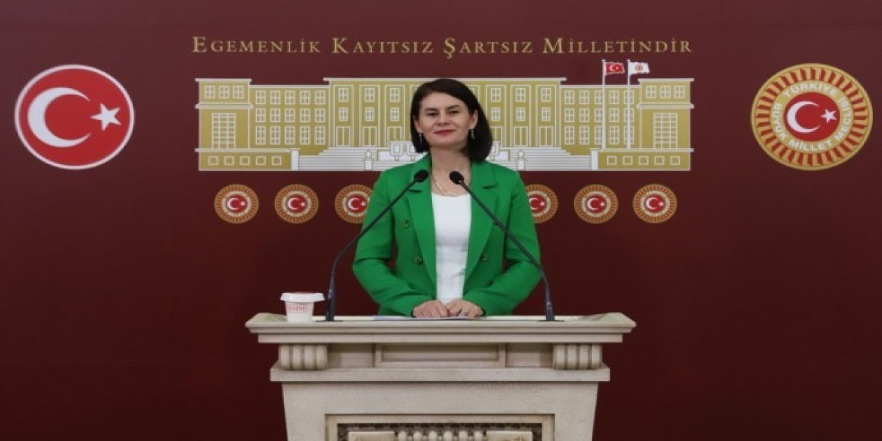 Meclis'ten  ‘barışı büyütecek hukuki adımların atı