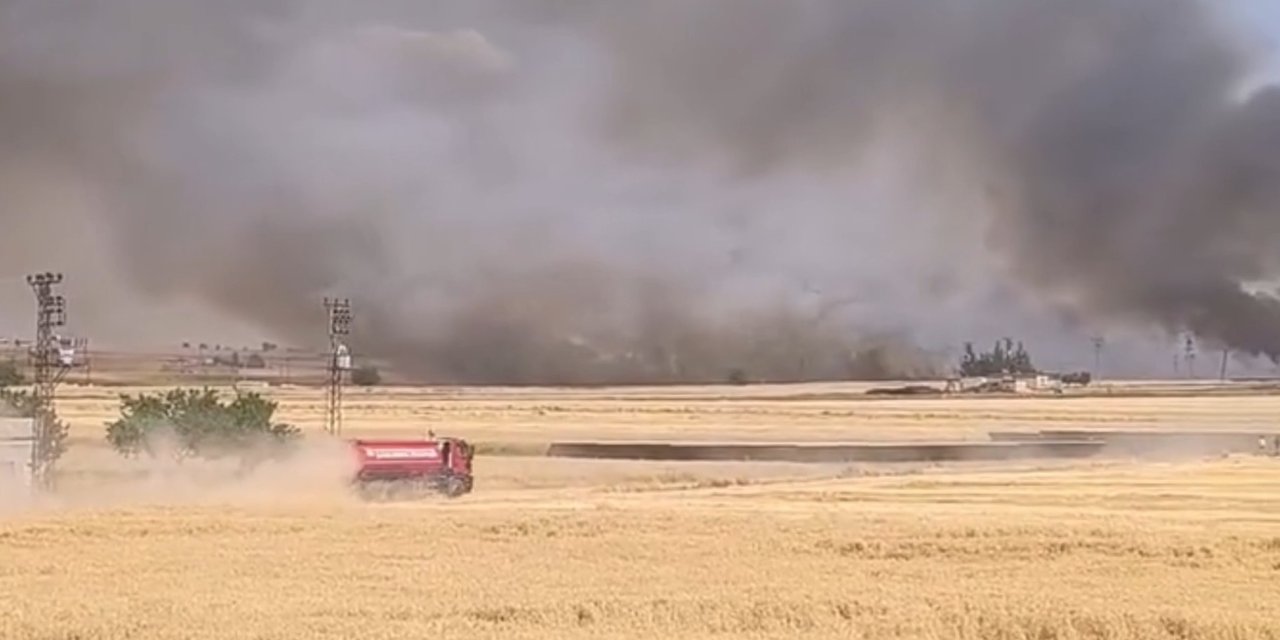 Yüzlerce dönümlük ekili arazi yandı