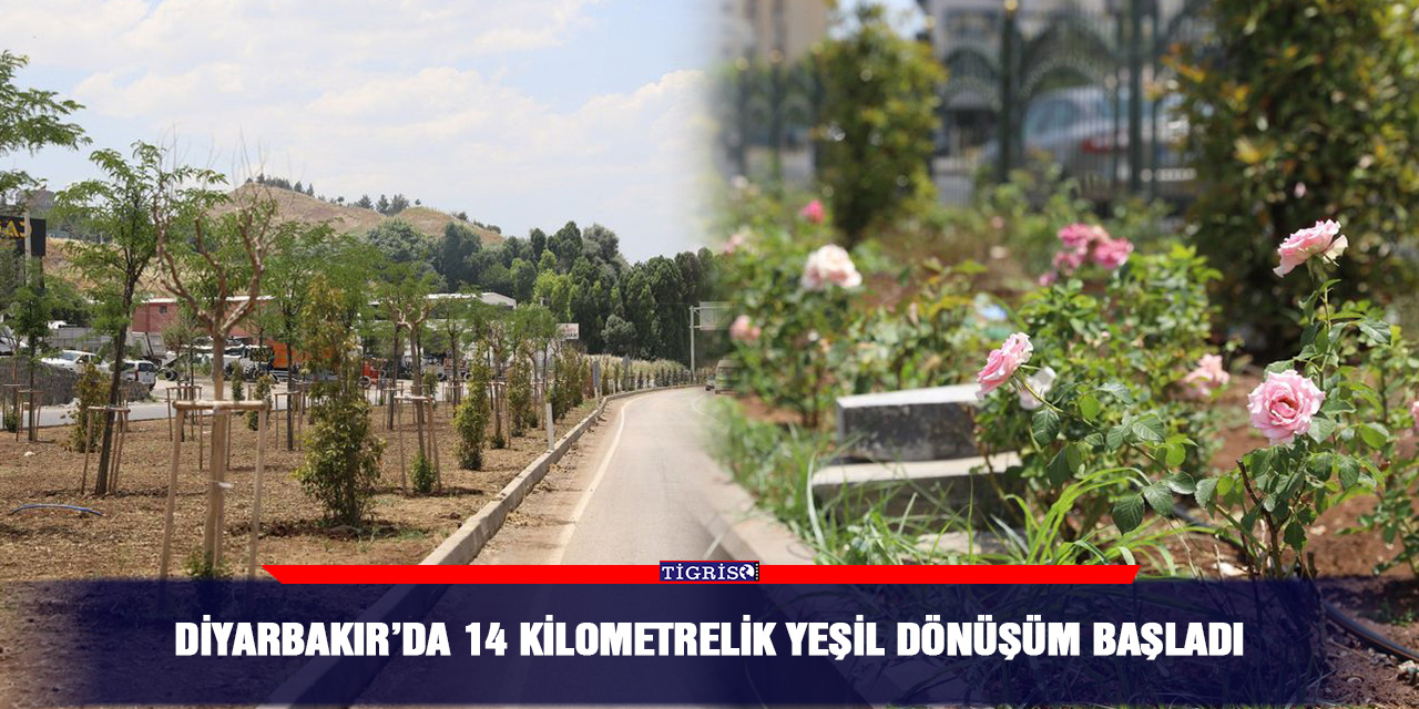 Diyarbakır’da 14 kilometrelik yeşil dönüşüm başladı