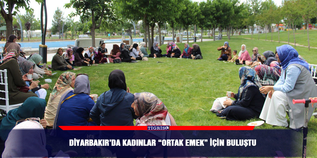 Diyarbakır’da kadınlar “ortak emek” için buluştu