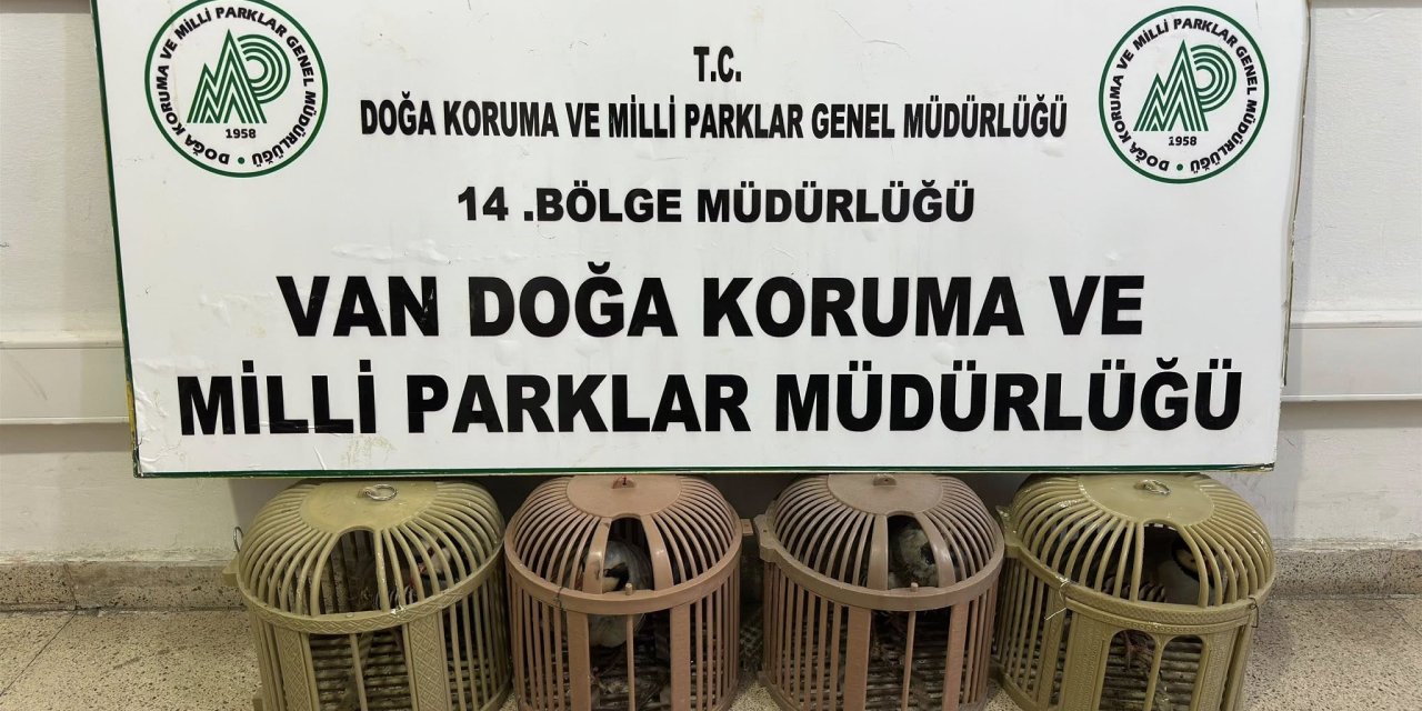 Van’da yasa dışı avcılığa 51 bin 878 TL ceza